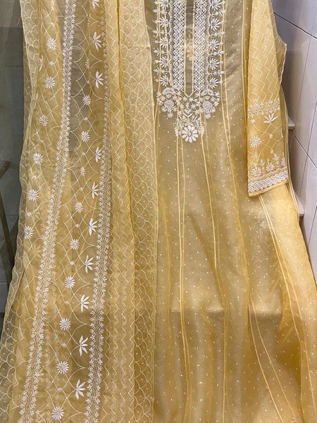 Pure Organza Anarkali Set with Pearl, Sequin & Katdana Work