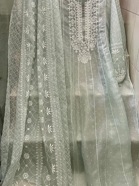 Pure Organza Anarkali Set with Pearl, Sequin & Katdana Work