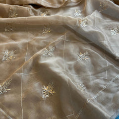Soft Organza Saree with Zardozi & Pearl Hand Embroidery